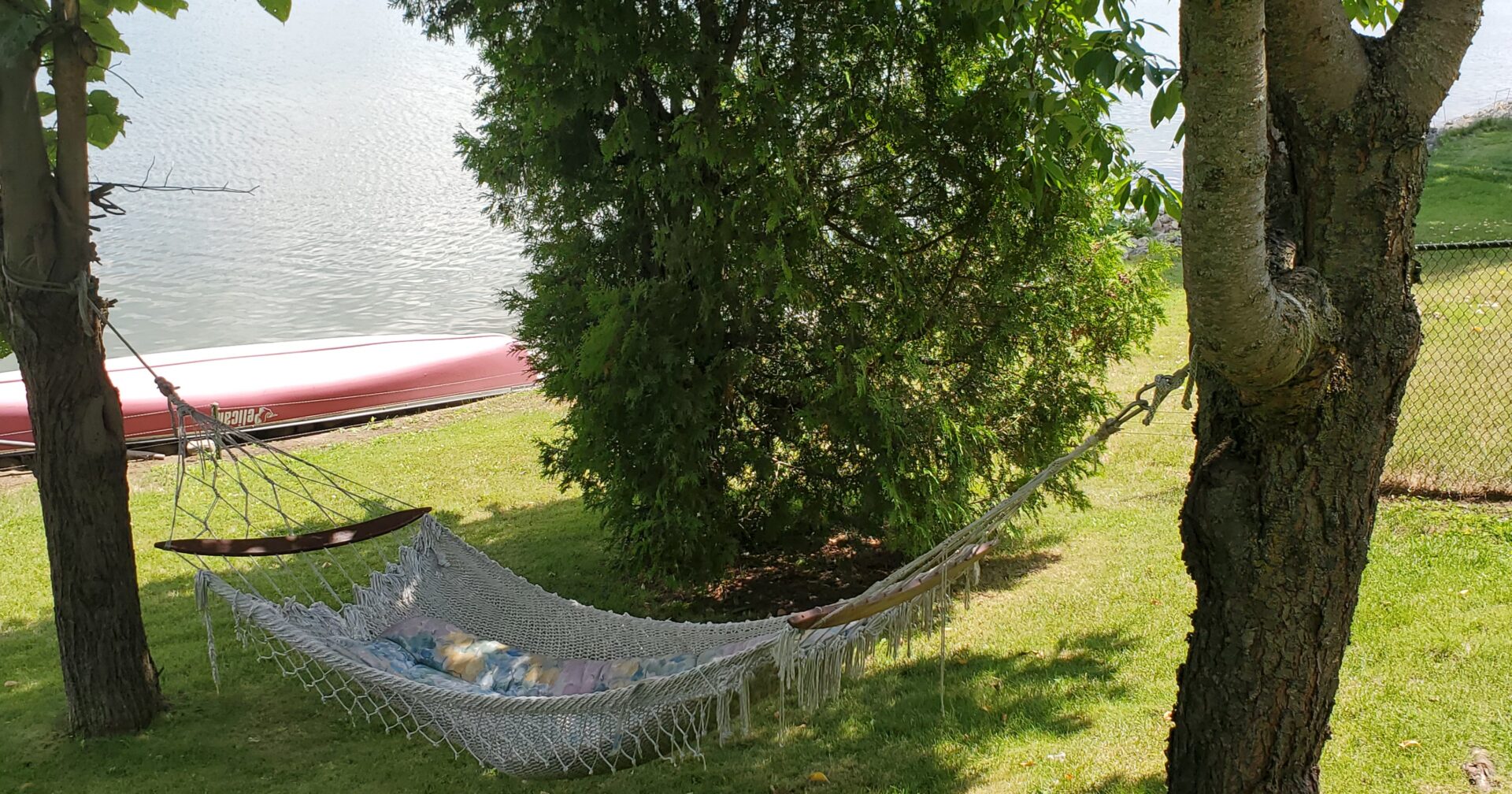A hammock is hanging near the water and trees.