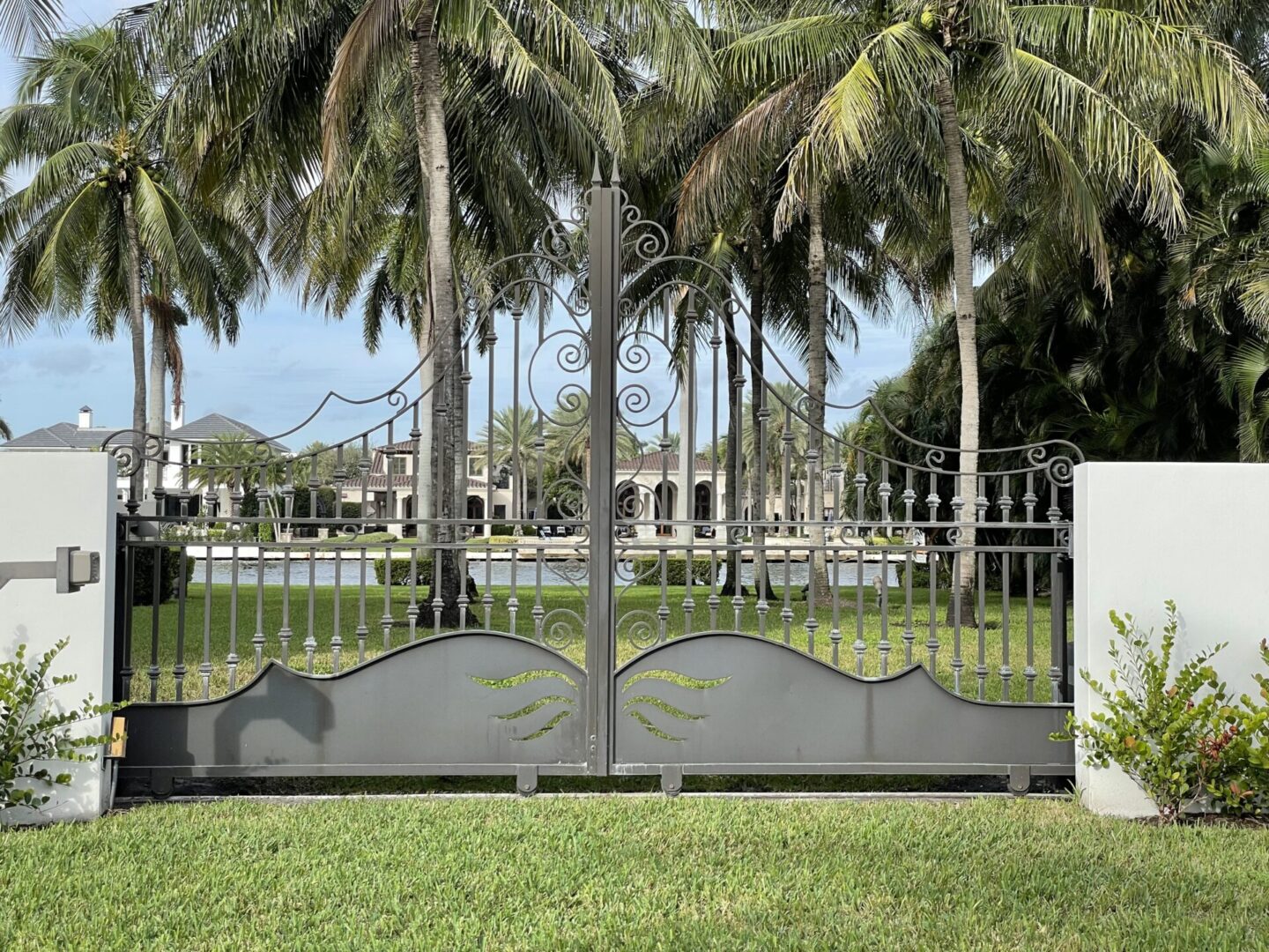 A gated yard with palm trees and a pool.